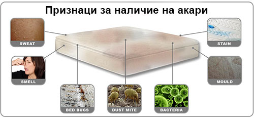 Признаци за наличие на акари