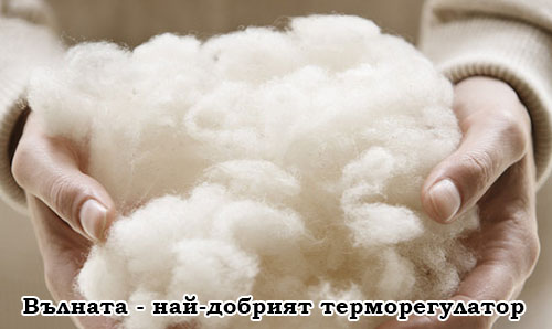 Вълната като добър терморегулатор